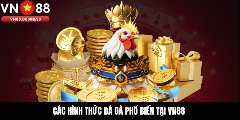 Các hình thức đá gà phổ biến tại VN88