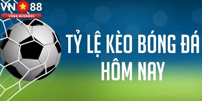 Các Loại Tỷ Lệ Bóng Đá VN88 Thường Gặp