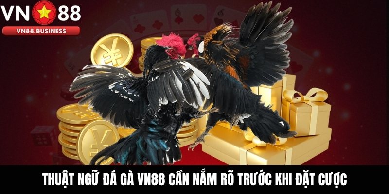 Thuật ngữ đá gà VN88 cần nắm rõ trước khi đặt cược
