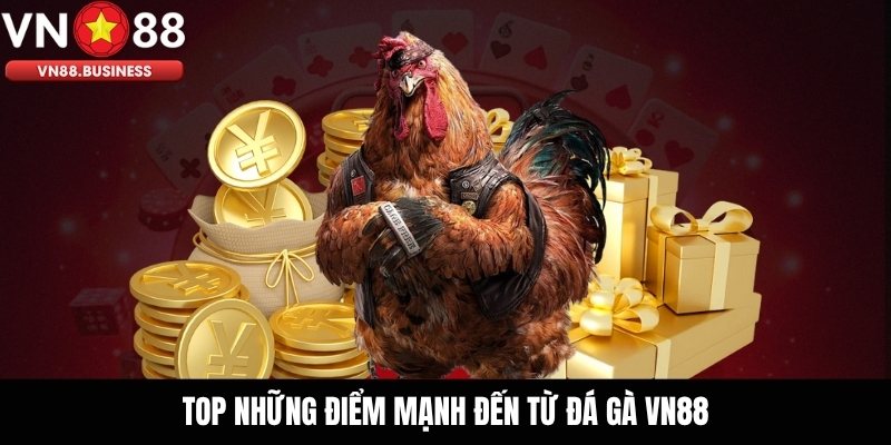 Top những điểm mạnh đến từ đá gà VN88